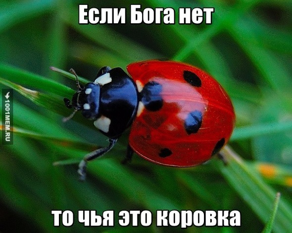 Сегодня в новостях