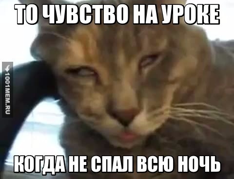 Сонный