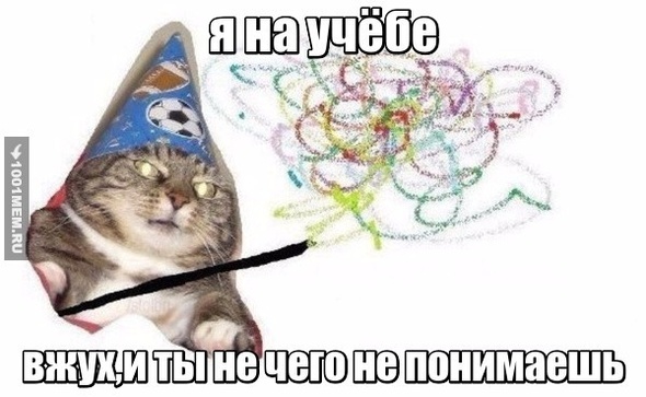 этот кот чертов маг-_-