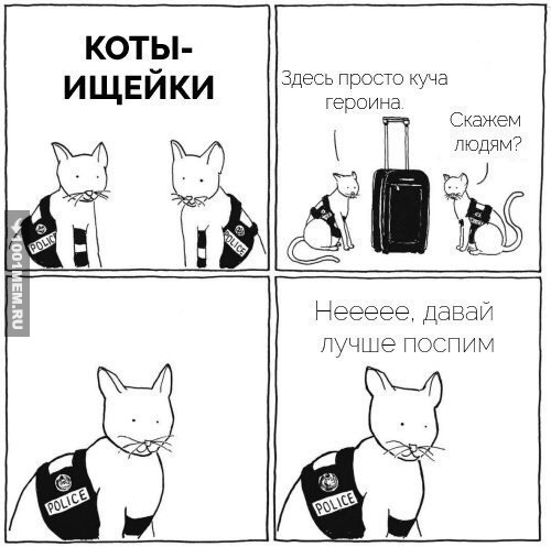 Коты-ищейки