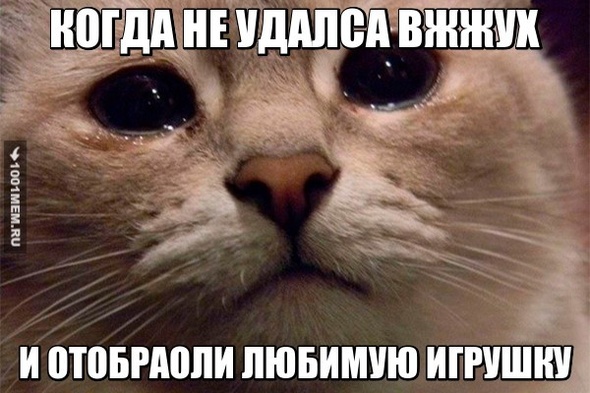 КОТИК ВЖЖУХ