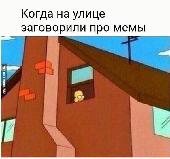 #мемы