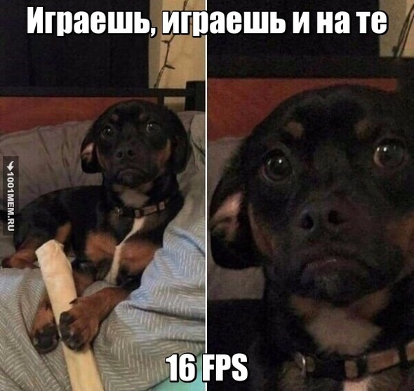 FPS