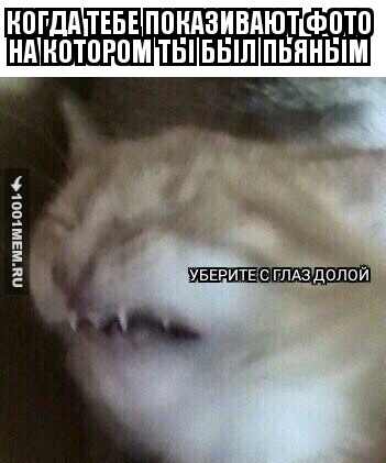 ты не ты когда бухой