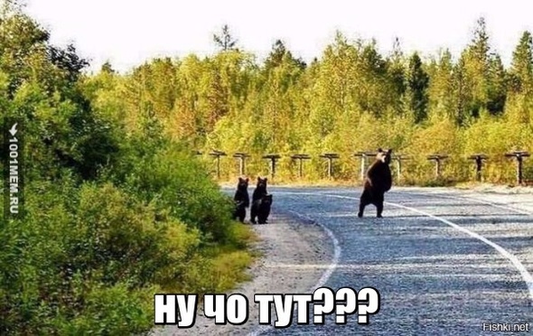 ну что тут?