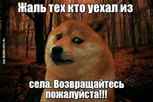 я в моём селе