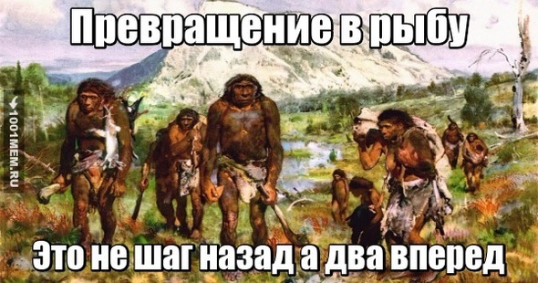 Глазами Андрюши