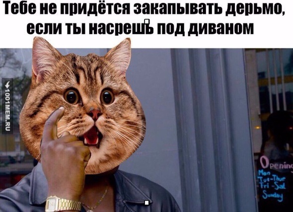 Логика Кота