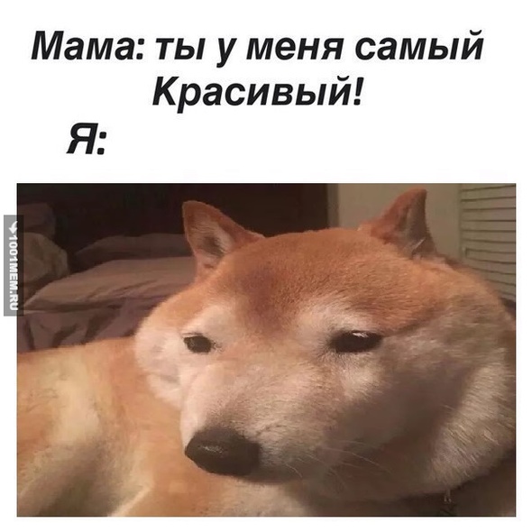 Хытайо