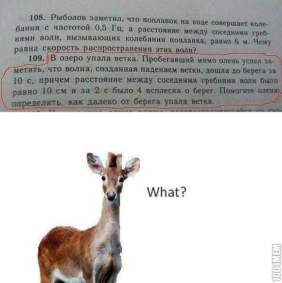 что?