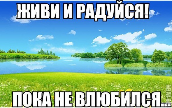 любовь... сучка...