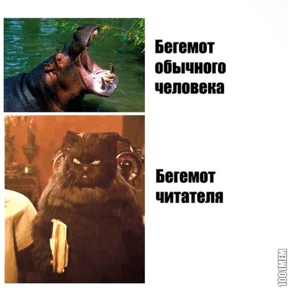 Бегемот