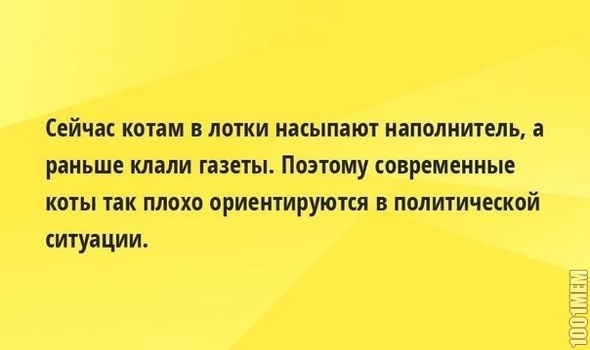 кладите газеты