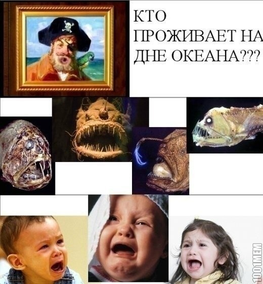 классные рыбки