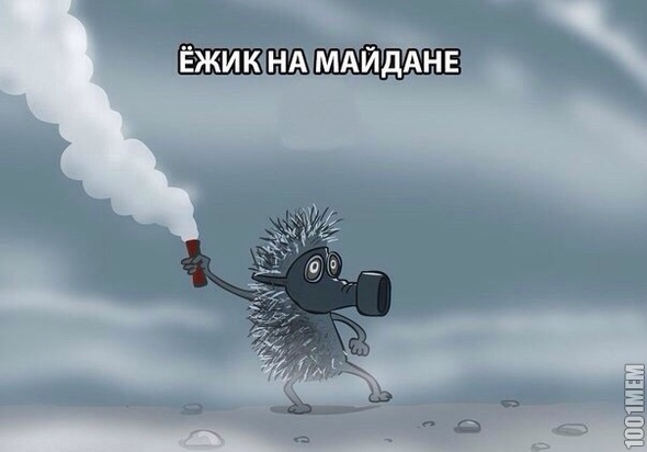 ежик на майдане