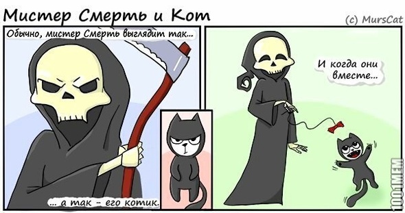 Смерть и кот