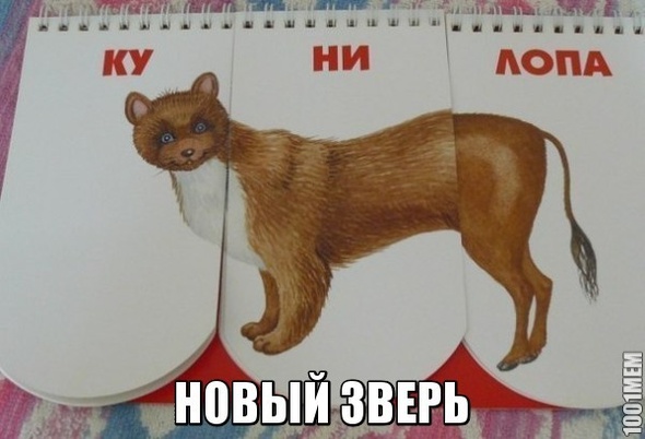 вот это зверь)