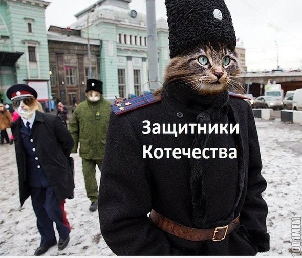 котечевство