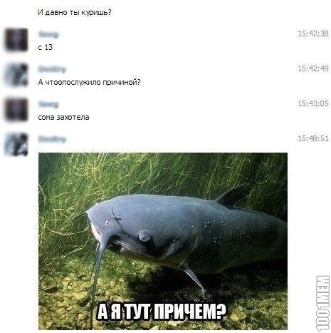 А сом то тут при чем)