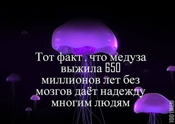 медуза