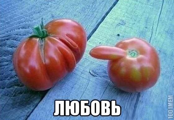 помидорки