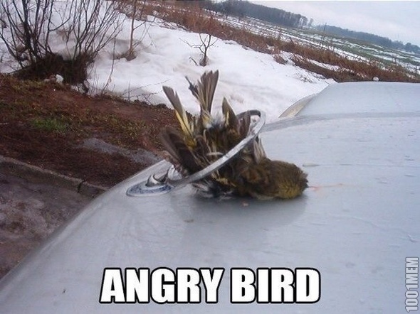 Angry bird уже не тот