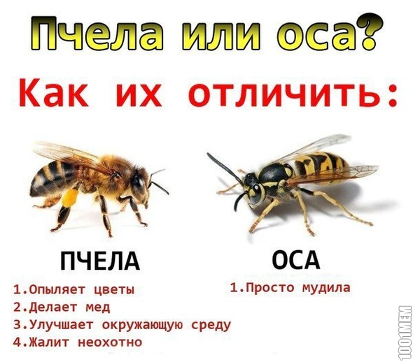 отличие