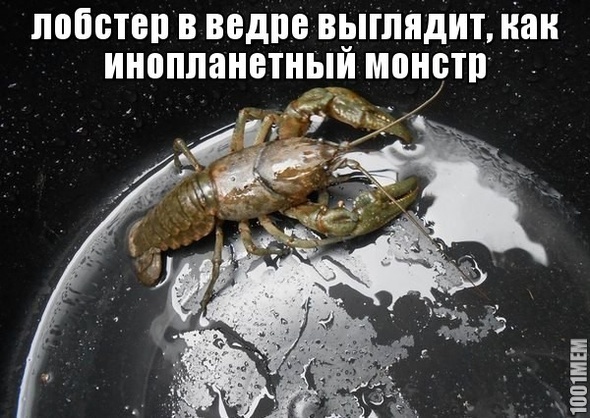 монстр)))