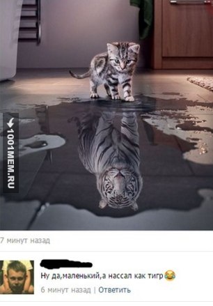 Как тигр