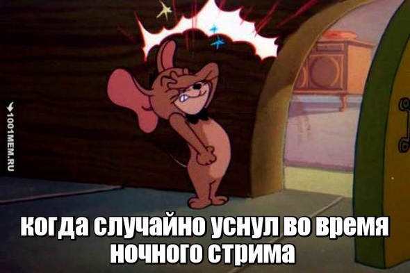 ночной стрим