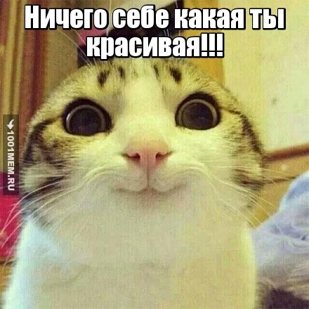 Котофей