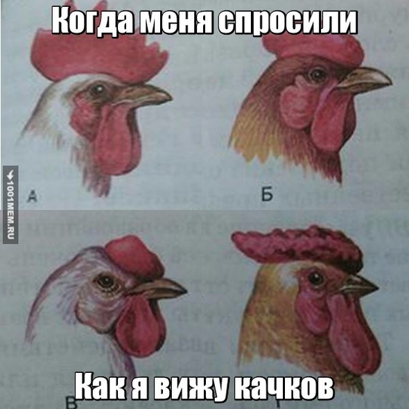 Мои выборы