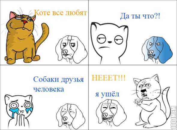 Коте или собаки?