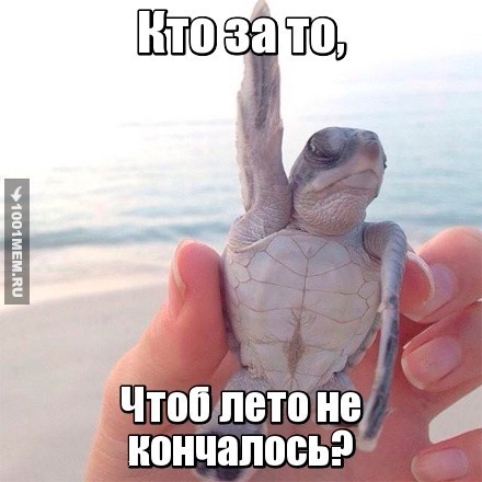 Кто за то...