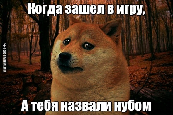 Посмотри)