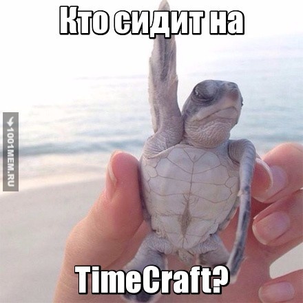 TimeCraft