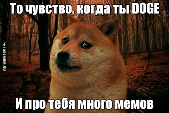 Когда ты DOGE