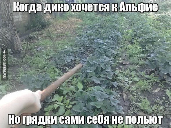 бсь