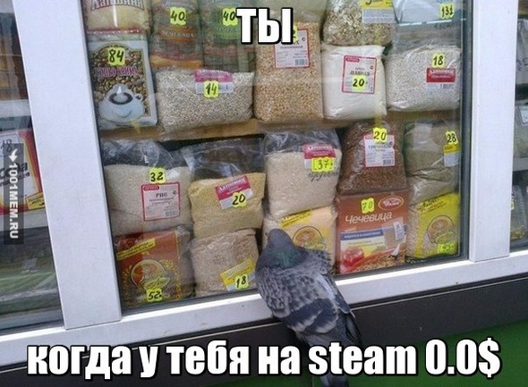 steam