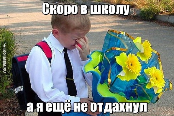 для школьников