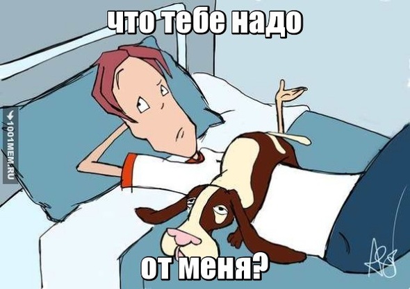 Что?