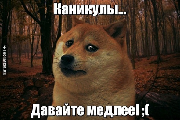 Каникулы ;(