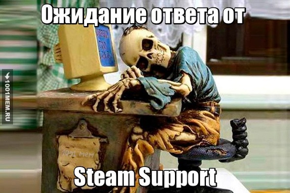 Steam Support