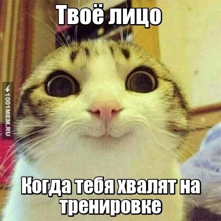 Не пишите ничего :)