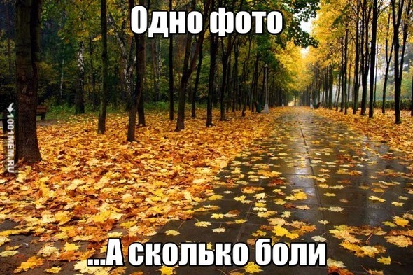 Осень и конец...