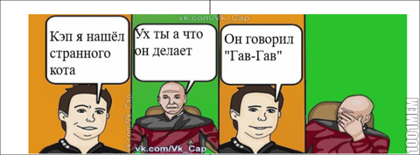 Странный Кот