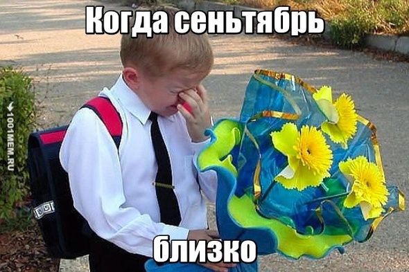 До слёз