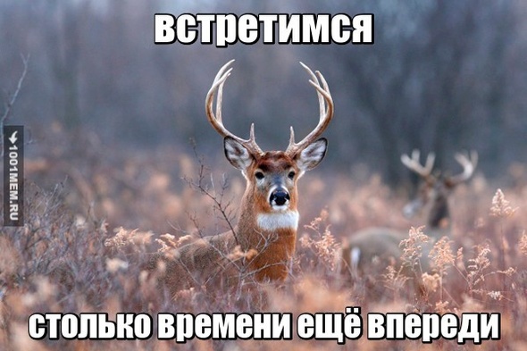 дааа встретимся