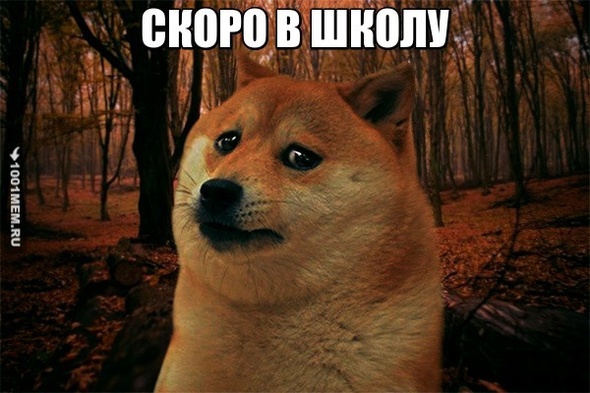 ШКОЛО