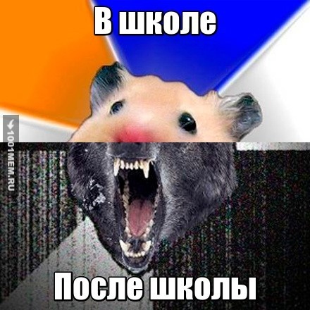 вы